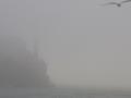 Alcatraz shrouded in mist