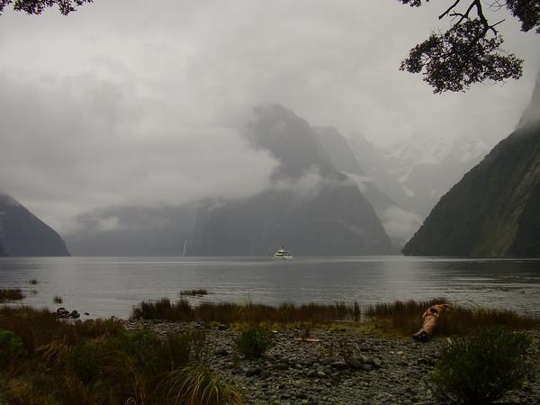 A big boat made to look very small in the middle of Milford Sound