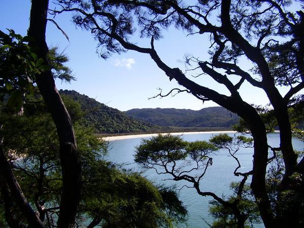 Starting my walk along the Able Tasman coast
