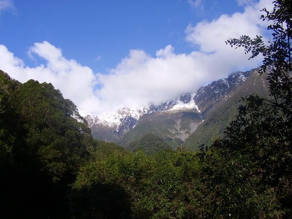 View of the mountains from Fox Glacier town