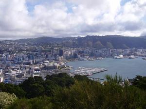 Looking down over the Wellington