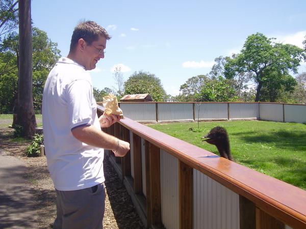 Sam getting pecked at by an Emu