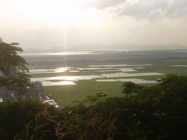 looking over the paddy fields from Mount Sam