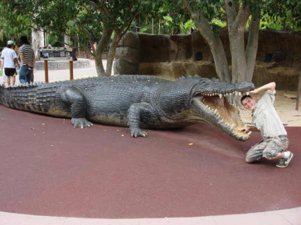 Crikey! 25 foot Salt Water Croc | Photo