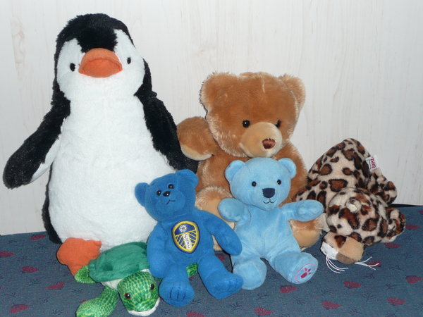 Cuddly toy count!