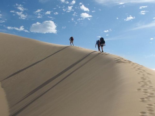 Walking along the Dune Fields