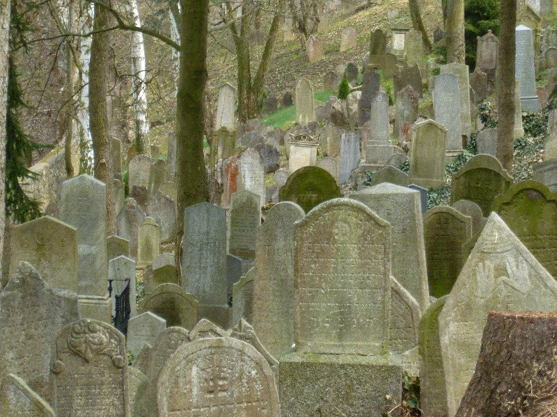 Jewish cemetery in Trebič