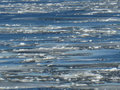ice floes in the sun