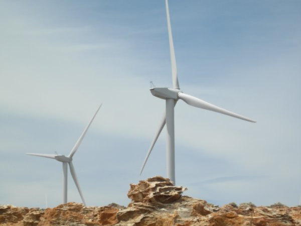 Wind turbines at Cape Bridgewater