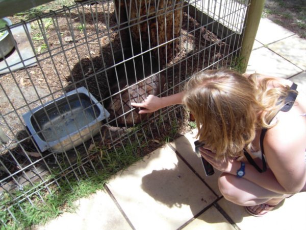Jules meets a wombat