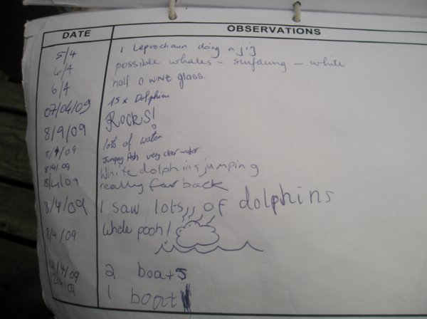 Funny answers on the notebad for whale and dolphin spots