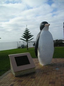 The town of Penguin