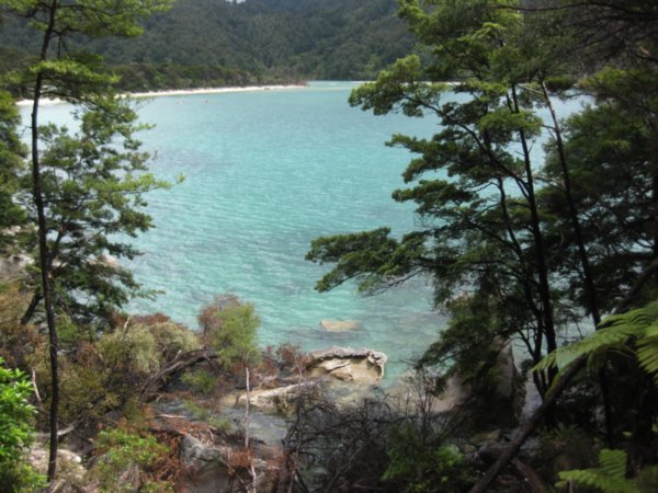 Vue de Sandfly Bay (Abel Tasman)