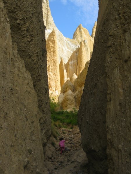 Clay Cliffs