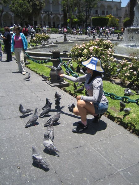 Nutter with pigeons