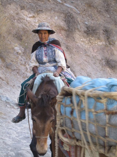 Traffic on the canyon