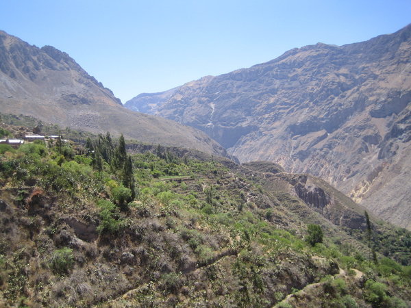 Canoñ del Colca