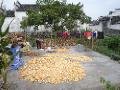 Typical Huizhou village scene