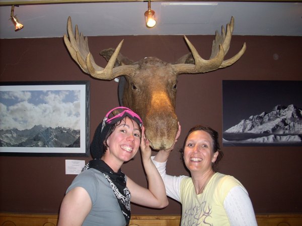 amanda and me and a moose