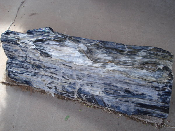 Another variation of petrified wood