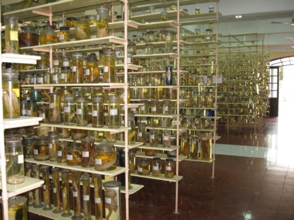 Bottled specimens