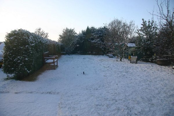 Snow covered front garden