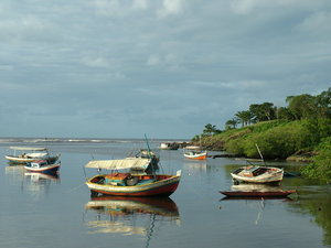 Calm Coroinha Bay