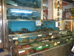 Seafood selection