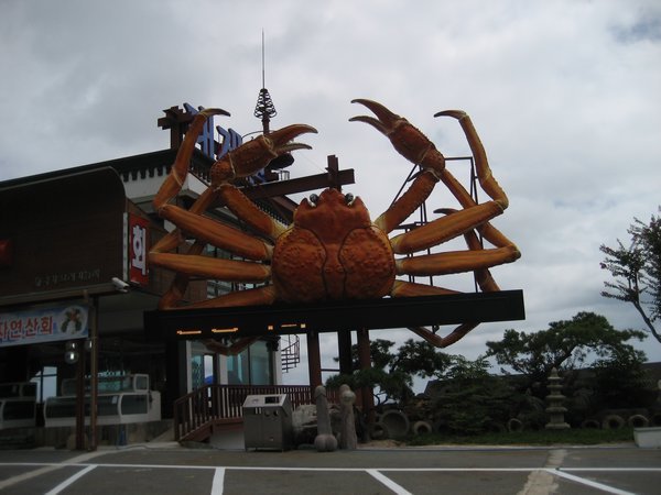 Obvious Crab Restaurant