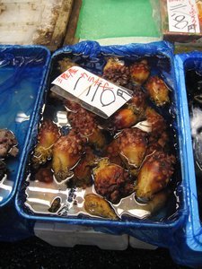 Tokyo Fish Market