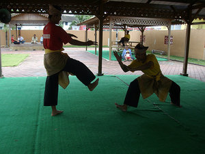 Martial arts performance
