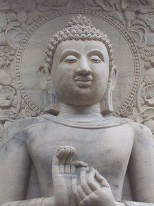 One of the many buddha images