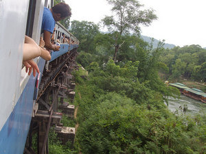 Train tracks through the jungle