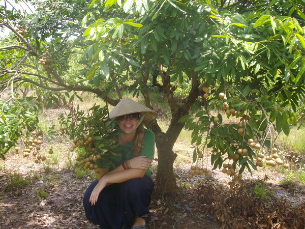 Amy underneath a logan tree in Thuan's dad's farm