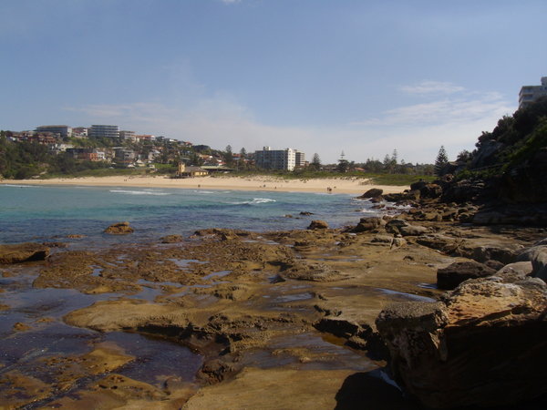One of the Manly Beaches