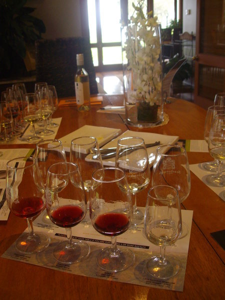 Tasting the reds at Scarborough