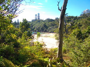 The view walking down to Collins Beach