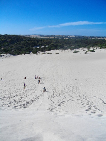 View from the top of the dunes at Little Sahara