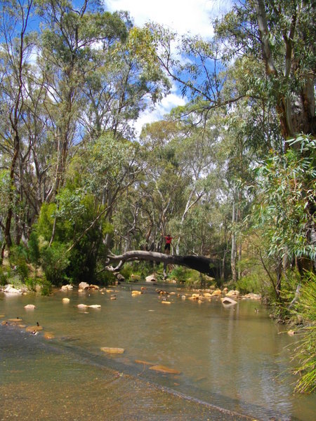 Crossing a river in Mount Remarkable National Park!
