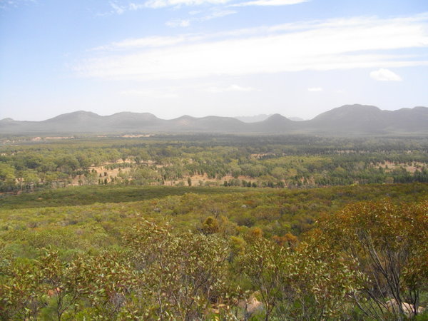 Wilpena Pound from the lookout point