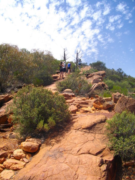 The long walk to the Wilpena Pound lookout point