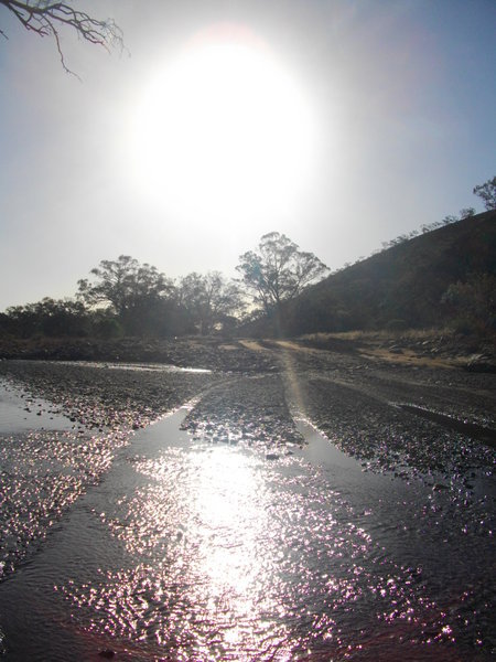 The trickling river we bathed in at Parachilna Gorge