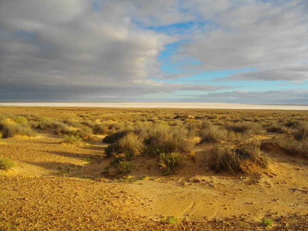 Lake Eyre from a lookout point