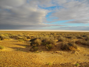 Lake Eyre from a lookout point