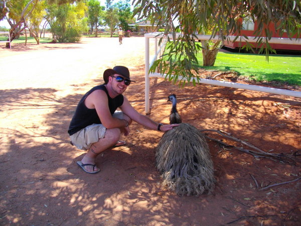 One of the emus that later tried to steal our lunch!