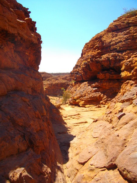 Walking through the domes along the rim of King's Canyon