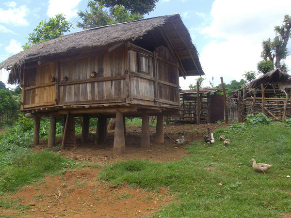Hill tribe house on bomb shell stilts