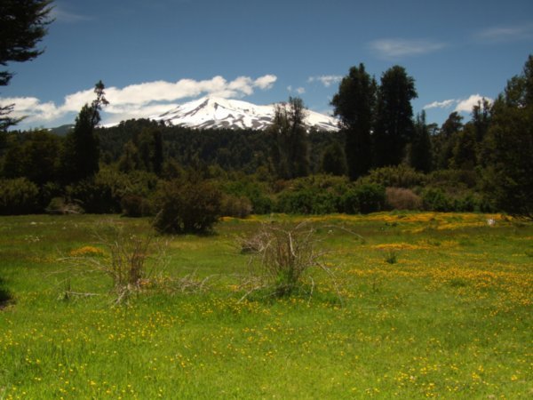 Volcan Puyehue