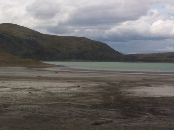 Laguna Amarga