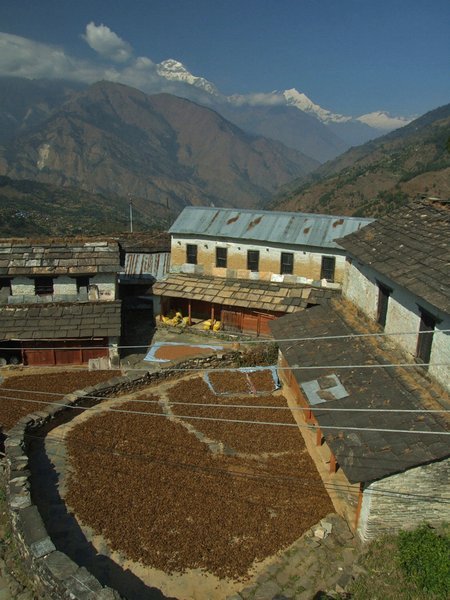 pohlad z terasy na dedinu Shika